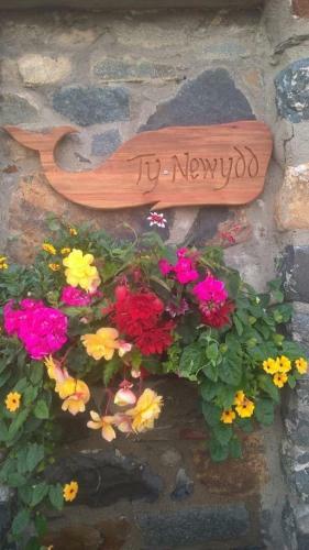 Ty Newydd North Wales Escape