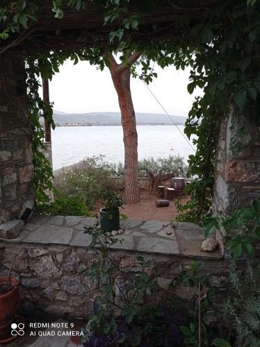 Natali's Villa By The Sea