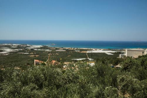 Apartamento Garden Studio Falassarna