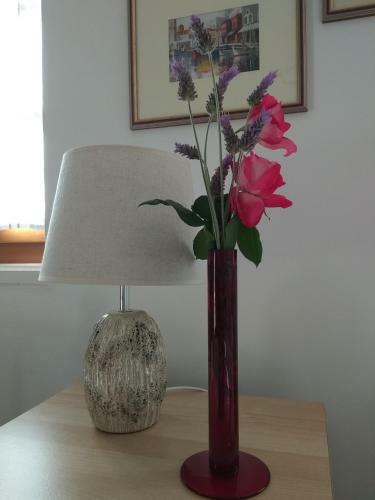 Apartamento Garden Studio Falassarna