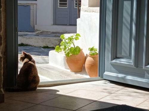 Moscha's Pink House In Chalki