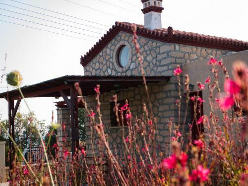 Villa Stone House