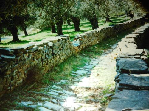 Epavli Sofia' S Two Apartments In Horto, 30m From The Sea