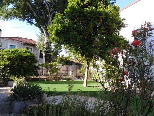 Epavli Sofia' S Two Apartments In Horto, 30m From The Sea