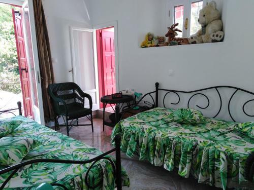 Epavli Sofia' S Two Apartments In Horto, 30m From The Sea