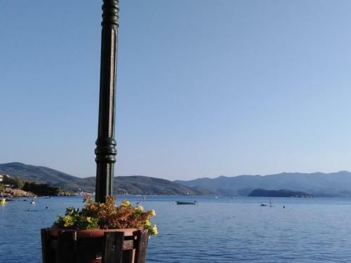 Epavli Sofia' S Two Apartments In Horto, 30m From The Sea
