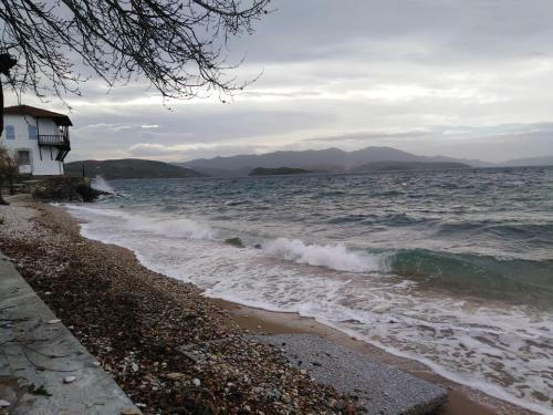 Epavli Sofia' S Two Apartments In Horto, 30m From The Sea