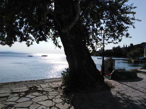 Epavli Sofia' S Two Apartments In Horto, 30m From The Sea