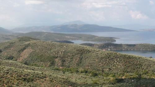 Epavli Sofia' S Two Apartments In Horto, 30m From The Sea