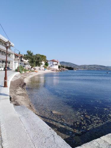 Epavli Sofia' S Two Apartments In Horto, 30m From The Sea