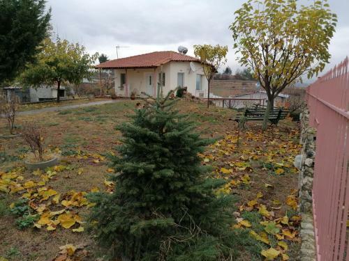 Villa With Big Garden