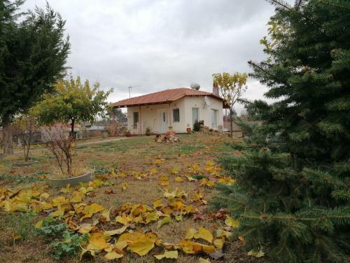 Villa With Big Garden