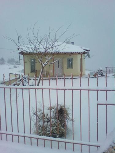 Villa With Big Garden