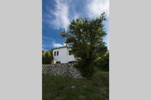 Aegean's Whispery Seafront Villa