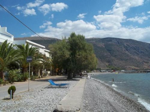 Apartamento Luxury Seafront House Nearby Delphi