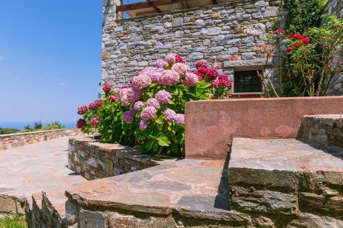 Villa A Dream Deferred