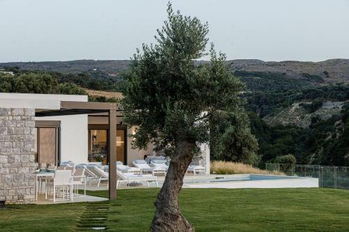 Villa Amna Olive