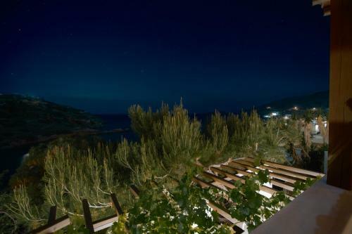 Hotel Lotos Beach Home