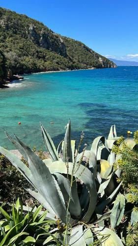 Panageas Holiday Apartments