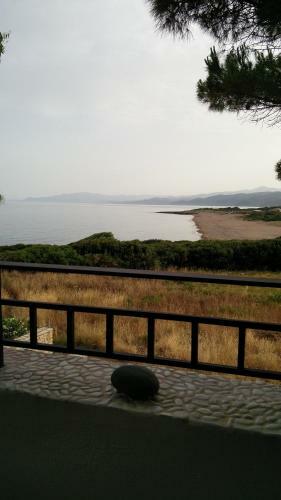 Tzanetos Seaside