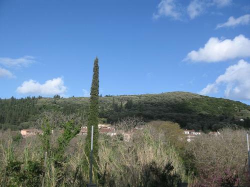 Agroturismo Anna's Countryside House