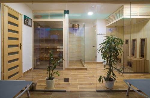 Hostal Szandra Panzi�