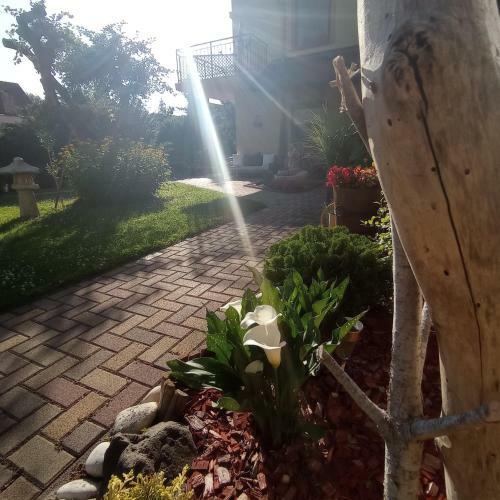 R�zsa Apartman