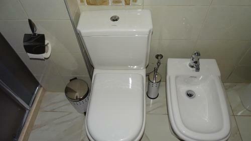 Apartment Shoshi