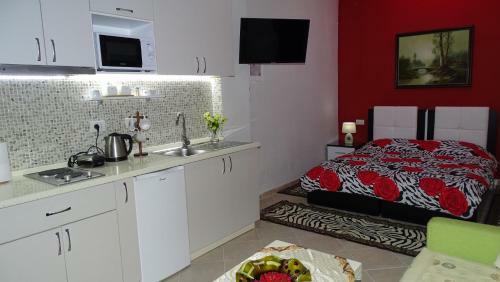 Apartment Shoshi