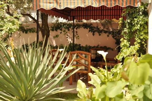 Theranda Hotel