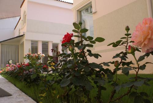 Theranda Hotel