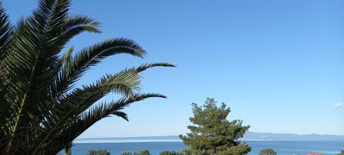 Seaside View Villa