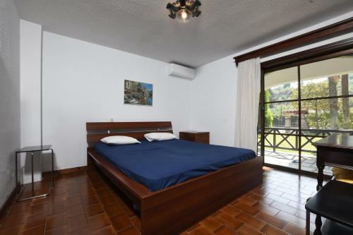 Seafront Palm Villa