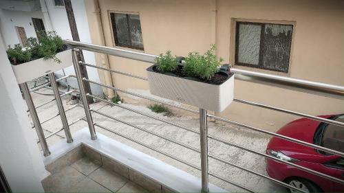 The Green Apartment