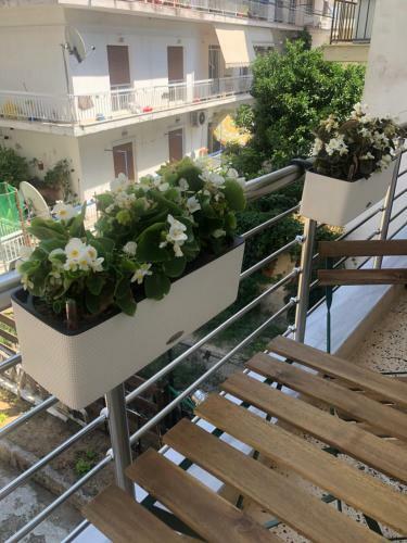 The Green Apartment