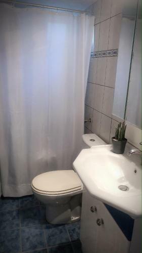 The Green Apartment