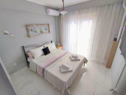 Driftwood Center Apartment