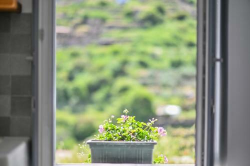 Apartamento Mespilus House Koronos