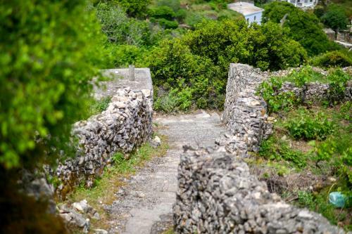 Apartamento Mespilus House Koronos
