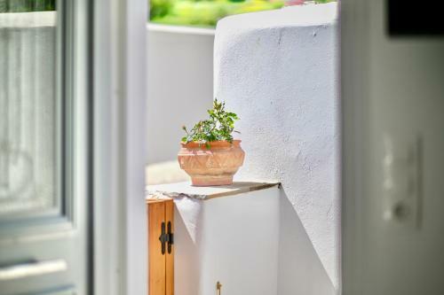 Apartamento Mespilus House Koronos