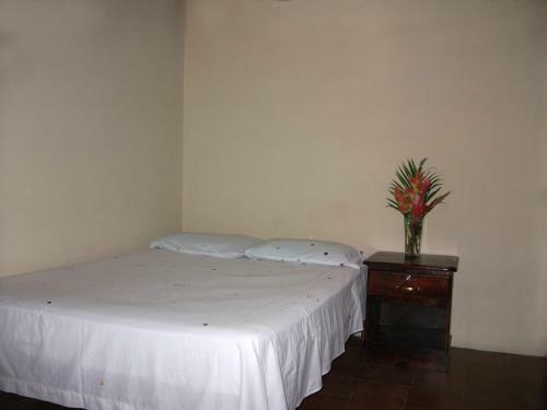 Hotel & Hostal Yaxkin Copan