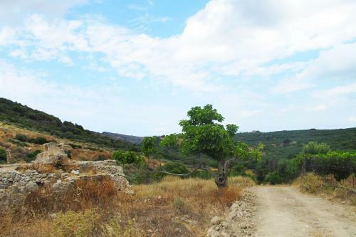 Agroturismo Petrakis Cretan Homes