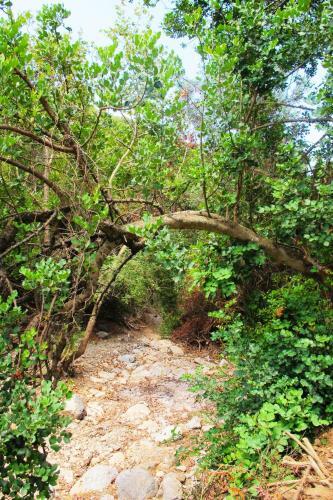 Agroturismo Petrakis Cretan Homes