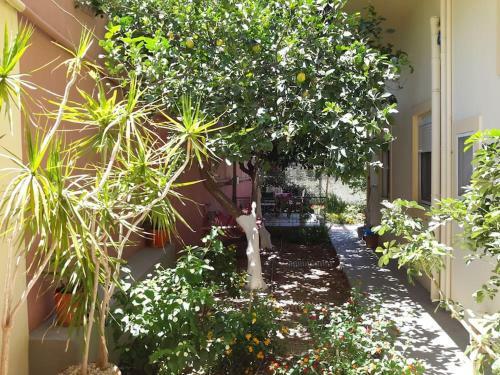 Apartamento Rena House