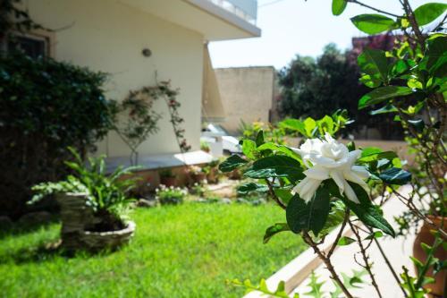 Apartamento Anastellar