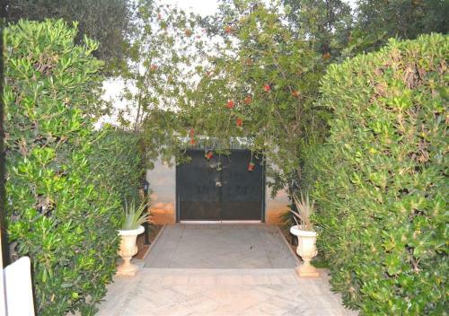 Villa Lady Gio Luxury Residence