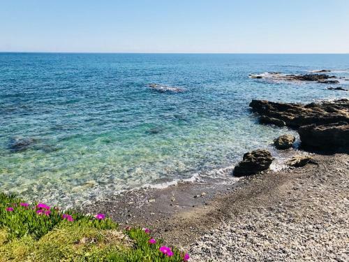 Apartamento Ammos Suite