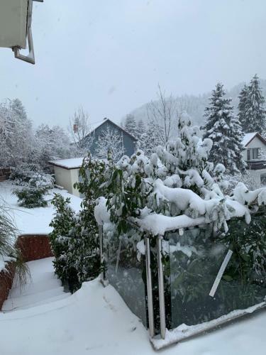 Apartment Sonnenterrasse