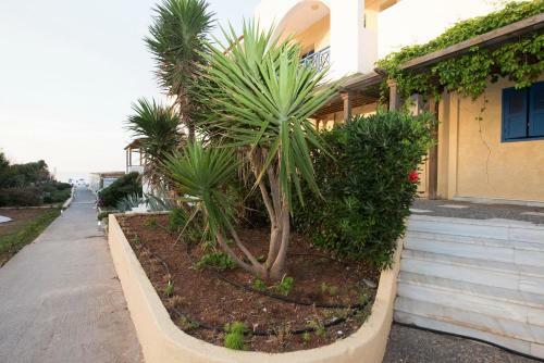 Apartamento Mikes Beach Lux