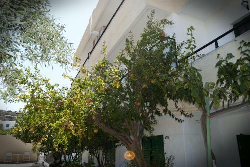 Prinos Apartments